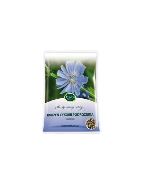 Cykoria korzeń podróżnik - 50g - Kawon