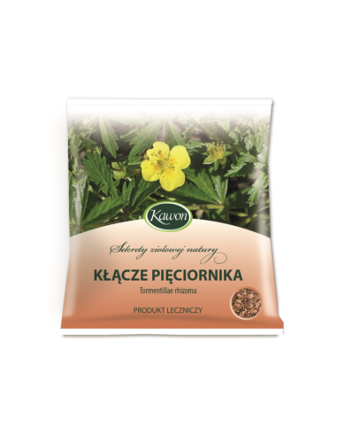 Pięciornik kłącze - 50g - Kawon