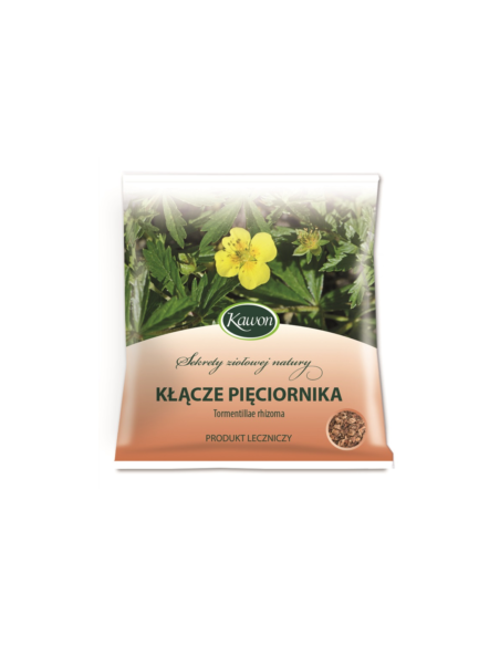 Pięciornik kłącze - 50g - Kawon