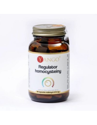 Regulator homocysteiny - 90kaps
