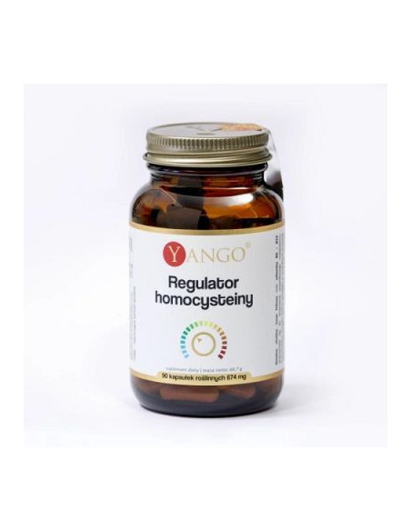 Regulator homocysteiny - 90kaps