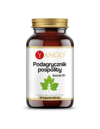 Ekstrakt 10:1 z podagrycznika pospolitego - 90kaps - Yango