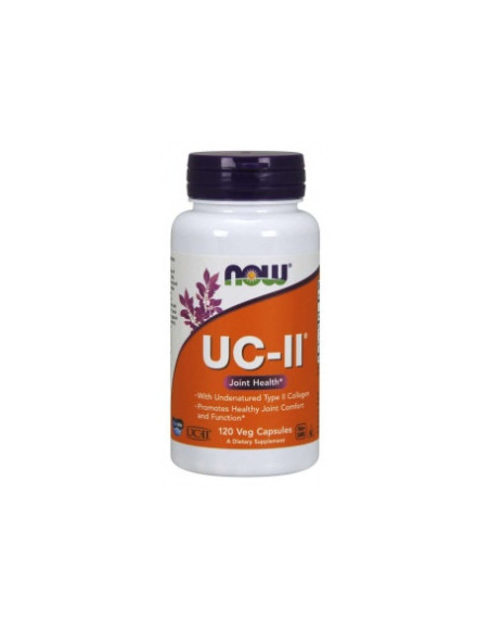 COLLANGEN UC typ II - 120kaps - Now Foods
