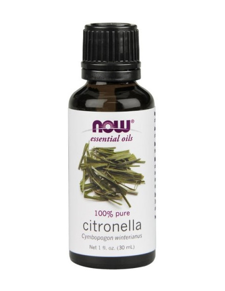 Citronella Oil - 30ml - Now Foods
