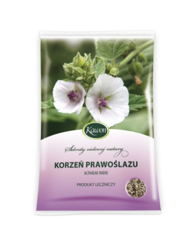 Prawoślaz korzeń - 50g - Kawon