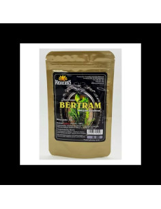 Bertram ostry mielony - 35g - Proherbis