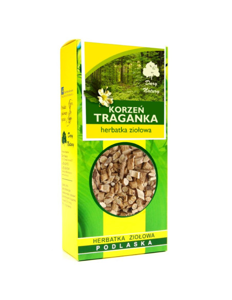 Traganek korzeń - 50g - Dary Natury