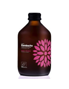 KOMBUCHA mango marakuja Bio - 330ml - Vigo