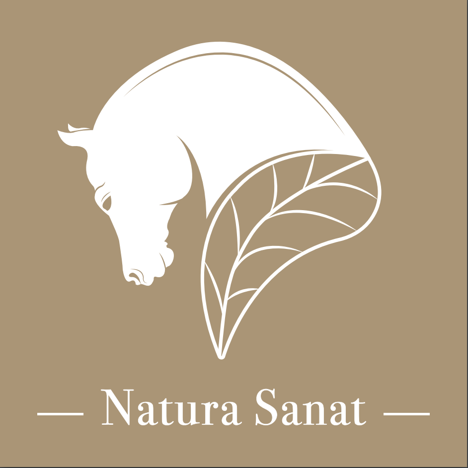 Natura Sanat