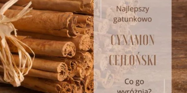 Czym wyróżnia się cynamon cejloński?
