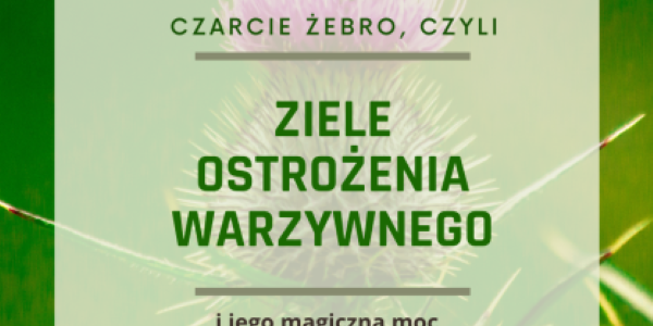 Ziele Ostrożenia warzywnego i jego właściwości