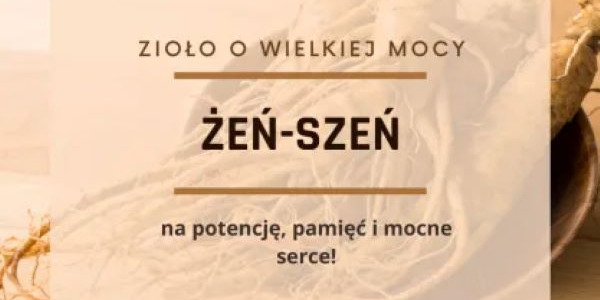  Wzmocnij się z żeń-szeniem!