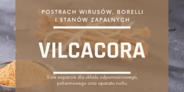 Vilcacora (Koci pazur)