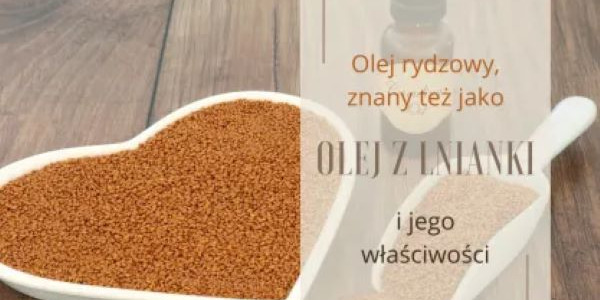 Olej z lnianki i jego właściwości