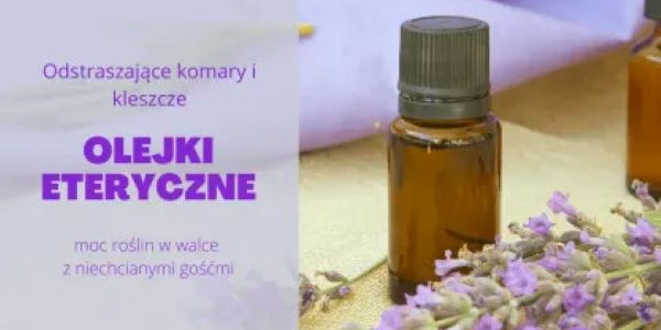 Komary i kleszcze