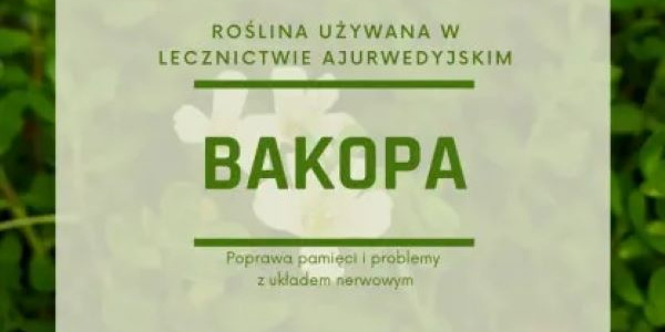 Bakopa