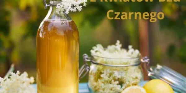 Hyćka w Butelce: Sekrety Syropu z Kwiatów Bzu Czarnego