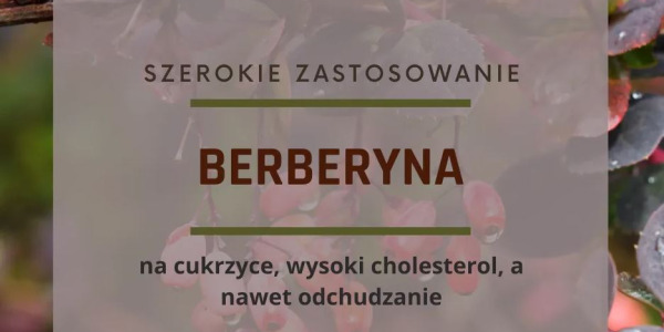 Berberyna co to takiego?