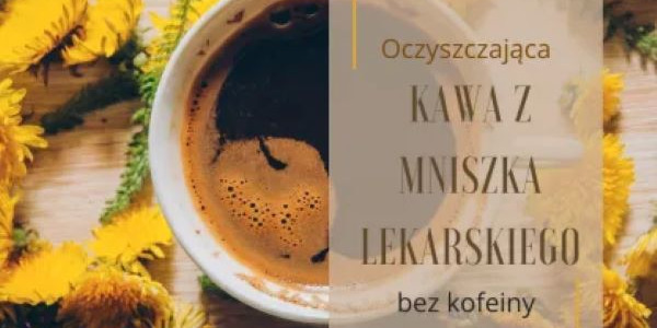  Oczyszczająca kawa z korzenia mniszka lekarskiego