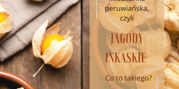 Jagody inkaskie co to takiego?
