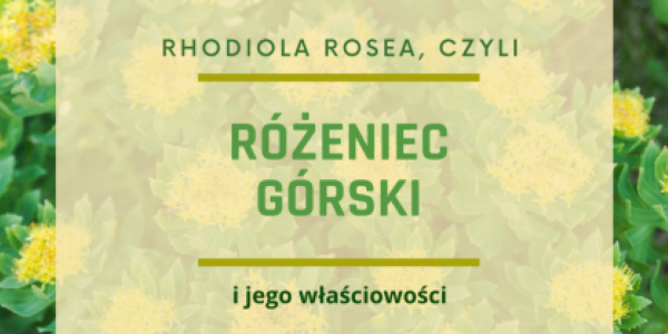 Różeniec górski i jego właściwości