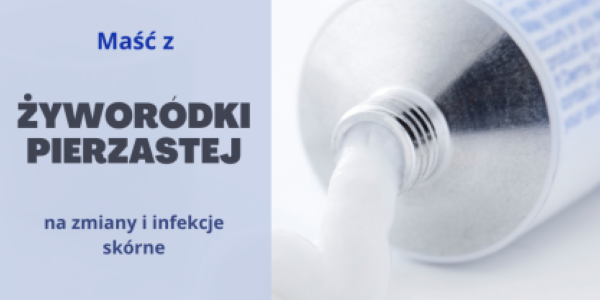 Niezwykła Żyworódka pierzasta 