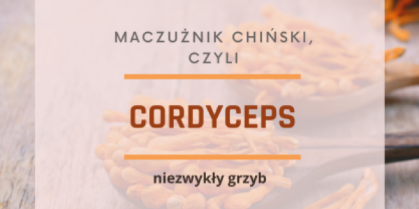 Cordyceps sinensis - niezwykły grzyb