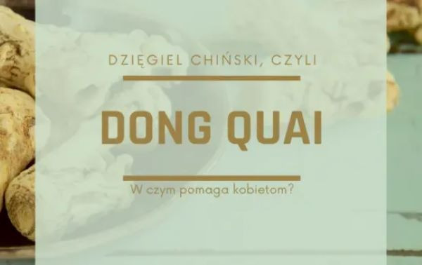 Dzięgiel chiński na kobiece sprawy.