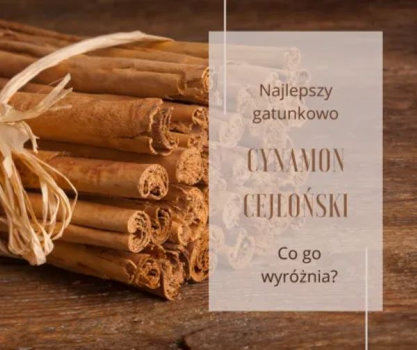 Czym wyróżnia się cynamon cejloński?