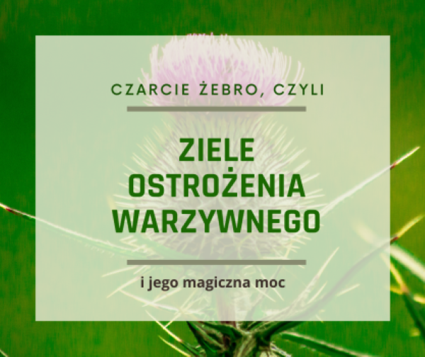 Ziele Ostrożenia warzywnego i jego właściwości