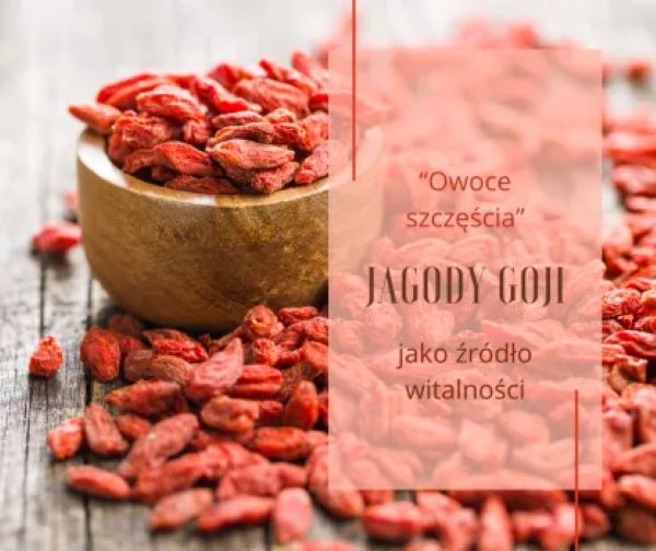 Jagody goji źródło witalności