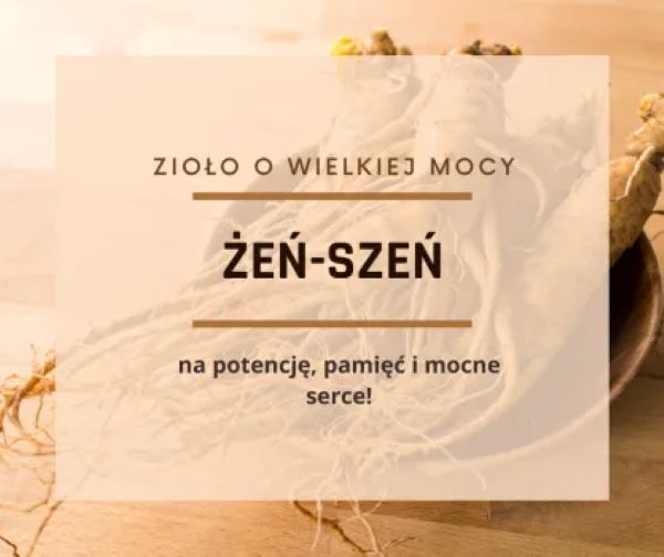  Wzmocnij się z żeń-szeniem!