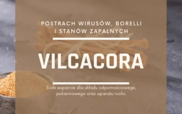 Vilcacora (Koci pazur)