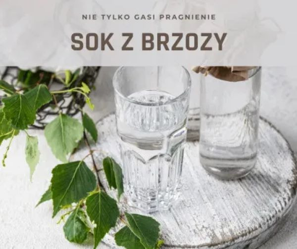 Sok z brzozy