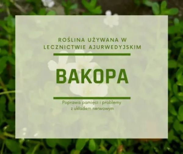 Bakopa