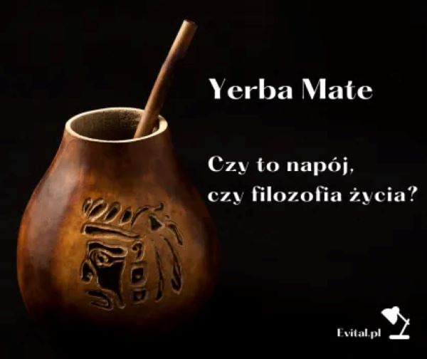 Yerba mate codzienne źródło witalności
