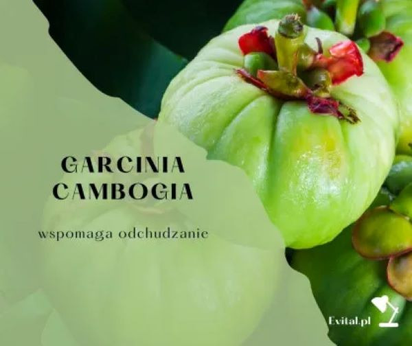 Garcinia Cambogia: Tajemniczy Owoc w Służbie Twojej Sylwetki