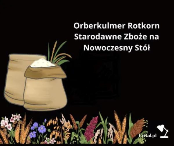 Orberkulmer Rotkorn: Starodawne Zboże na Nowoczesny Stół