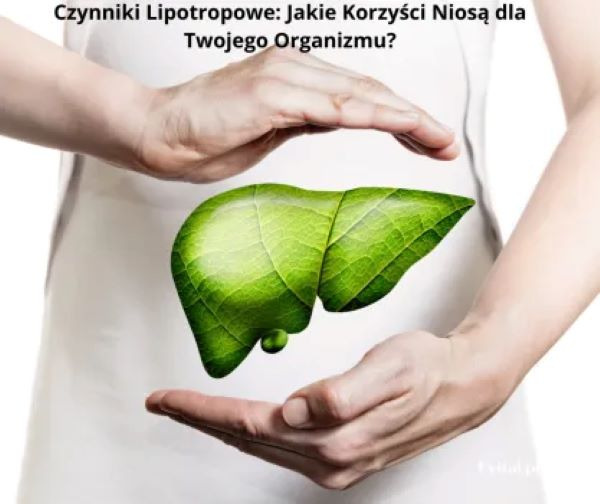 Kilka słów o tajemniczych czynnikach lipotropowych