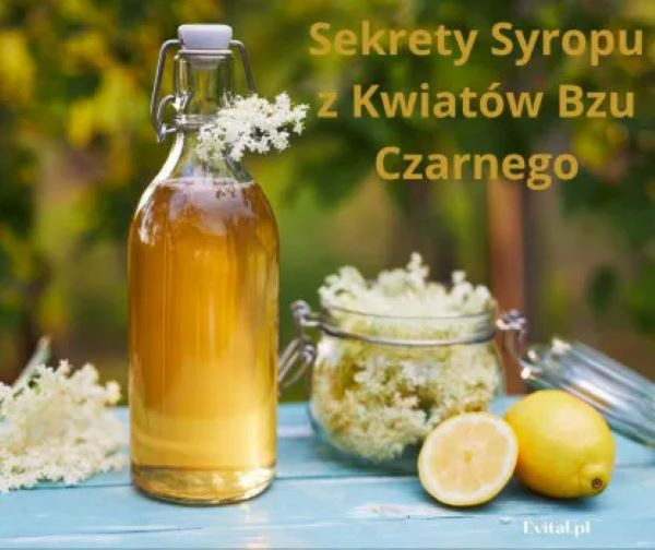 Hyćka w Butelce: Sekrety Syropu z Kwiatów Bzu Czarnego
