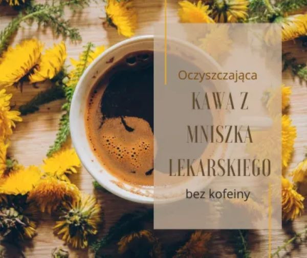  Oczyszczająca kawa z korzenia mniszka lekarskiego