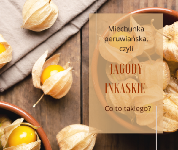 Jagody inkaskie co to takiego?